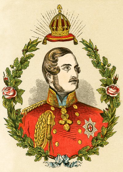 Prince Albert by English School